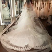 How much was your dress?
