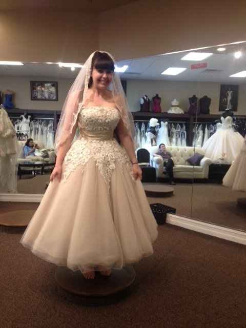 YES!!! to the dress (photo)
