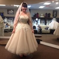 YES!!! to the dress (photo)