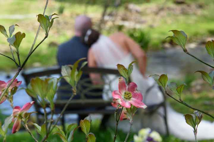 Artsy out-of focus shot