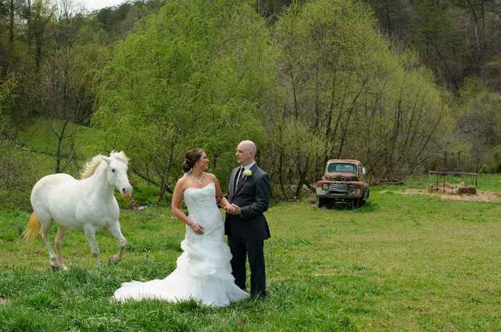 With Sugar the traiend horse