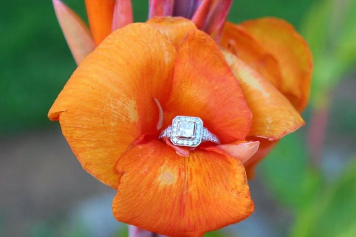 Engagement photos (super pic heavy) - 9