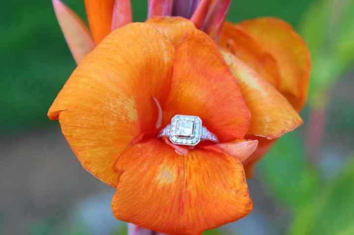 Engagement photos (super pic heavy) - 9