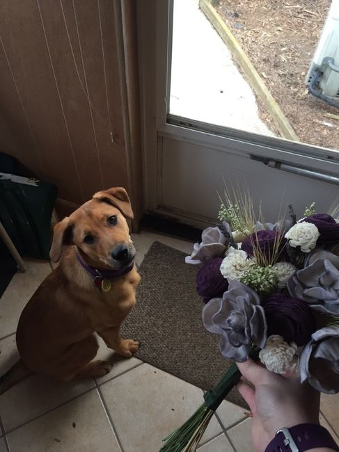 DIY Bouquet