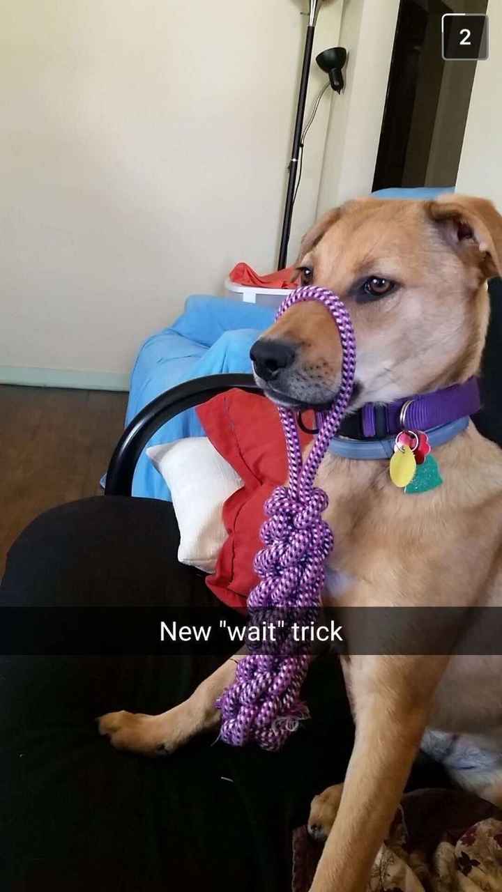 NWR: Show me your pups!