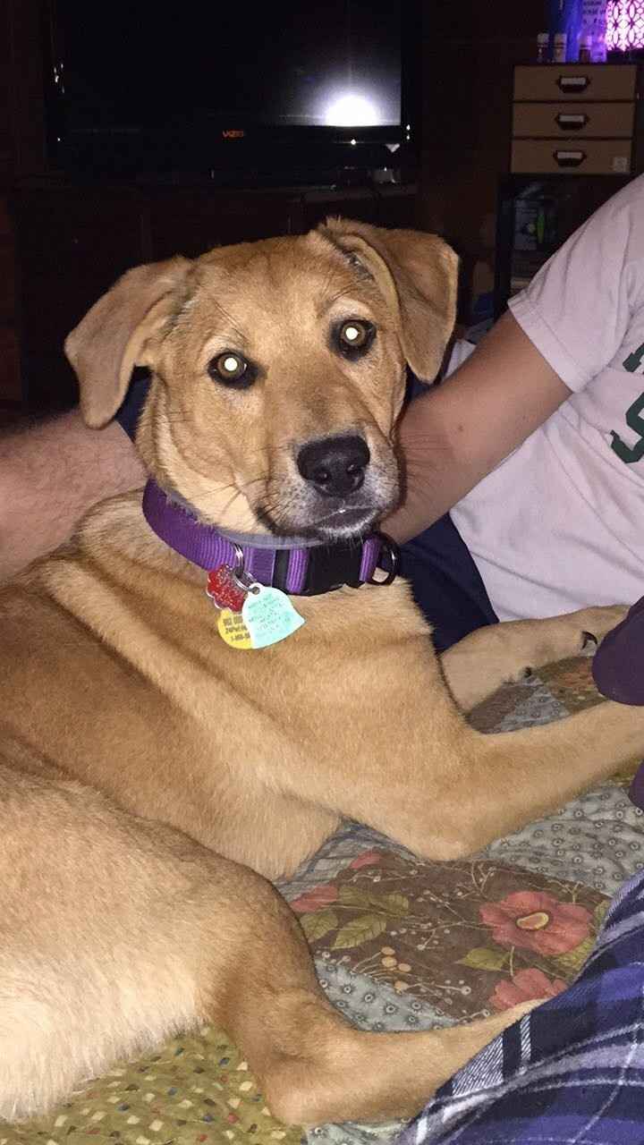 NWR: How could you even consider it?