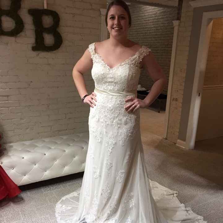 Any size 12/14 brides care to share?