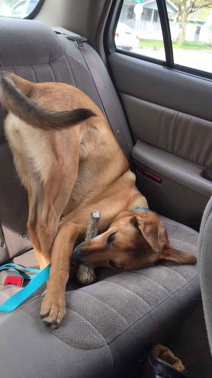 NWR: I need a pick-me-up