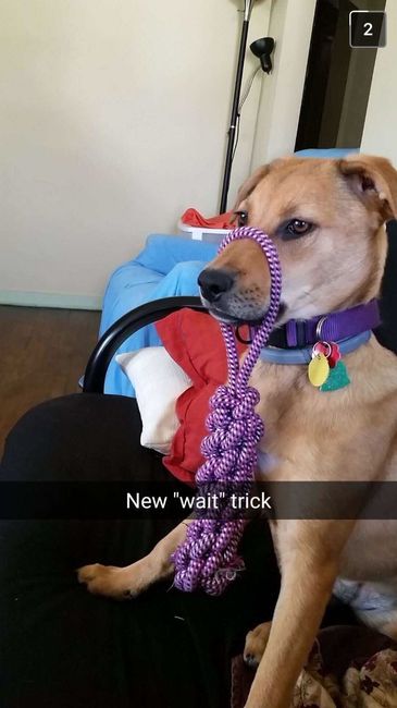 NWR: Show me your pups!