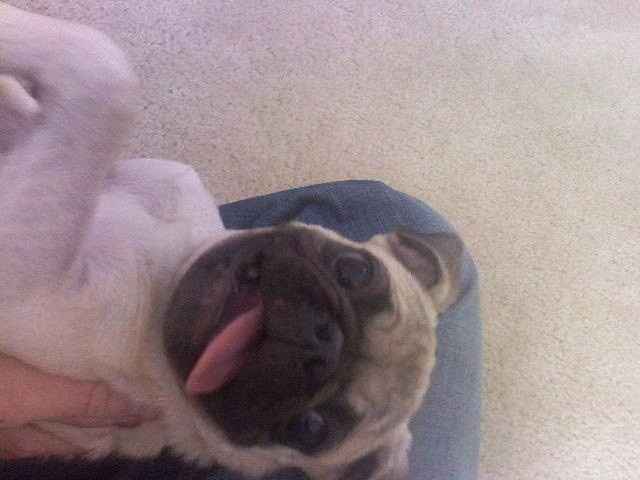 NWR:  Thursday Fursday