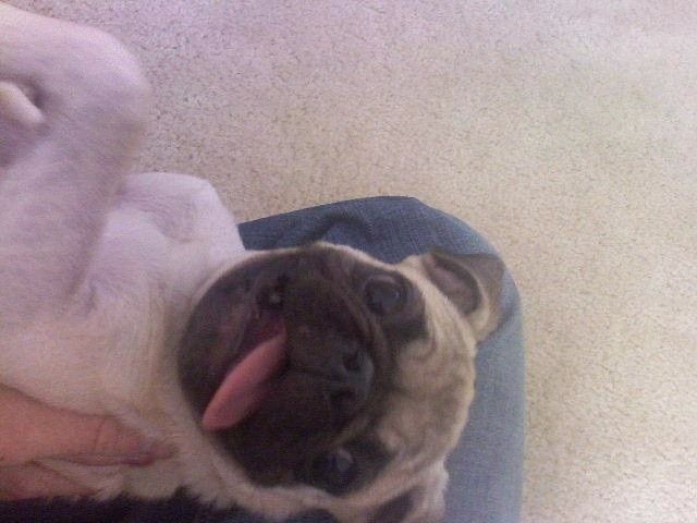 NWR:  Thursday Fursday