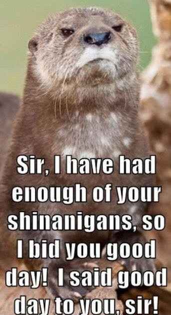 WW Related - I automatically think "troll" if all or most of these apply: