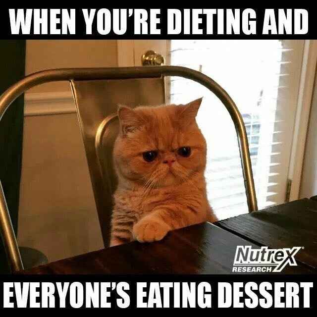 Meme War: Vets vs. Newbies