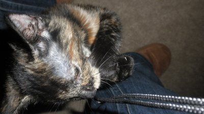 NWR- New Family Member- Pictures