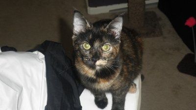 Adopted our 1st baby! (PICS)