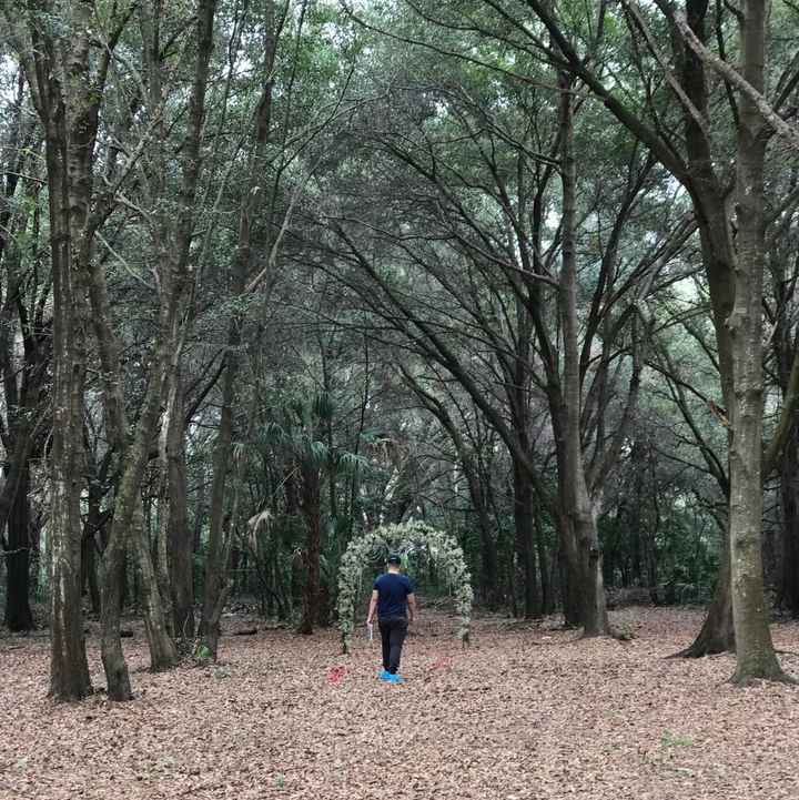 Show me your venues!