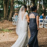 Cathedral Veil on Grass ?? - 3