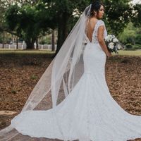 Cathedral Veil on Grass ?? - 4