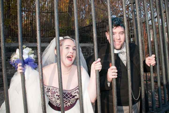 BAM - Maryland Zoo Wedding