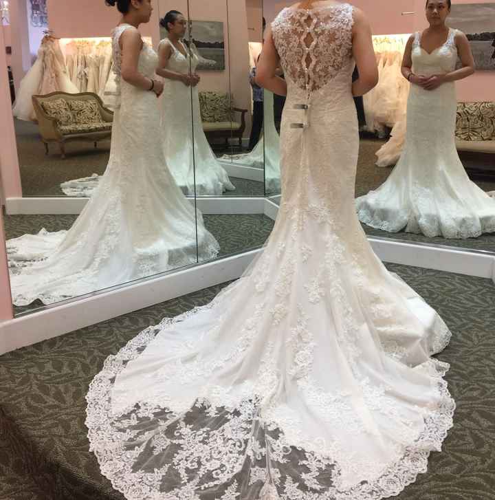 Finding the Dress - 2