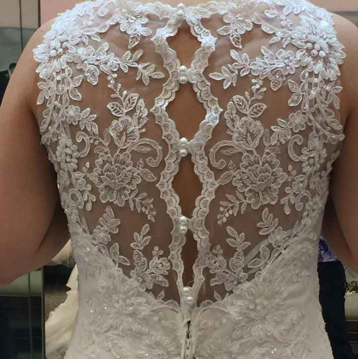 Finding the Dress - 3