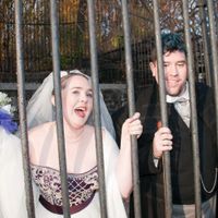 BAM - Maryland Zoo Wedding