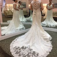 Finding the Dress - 2