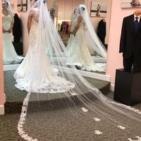 Finding the Dress - 4