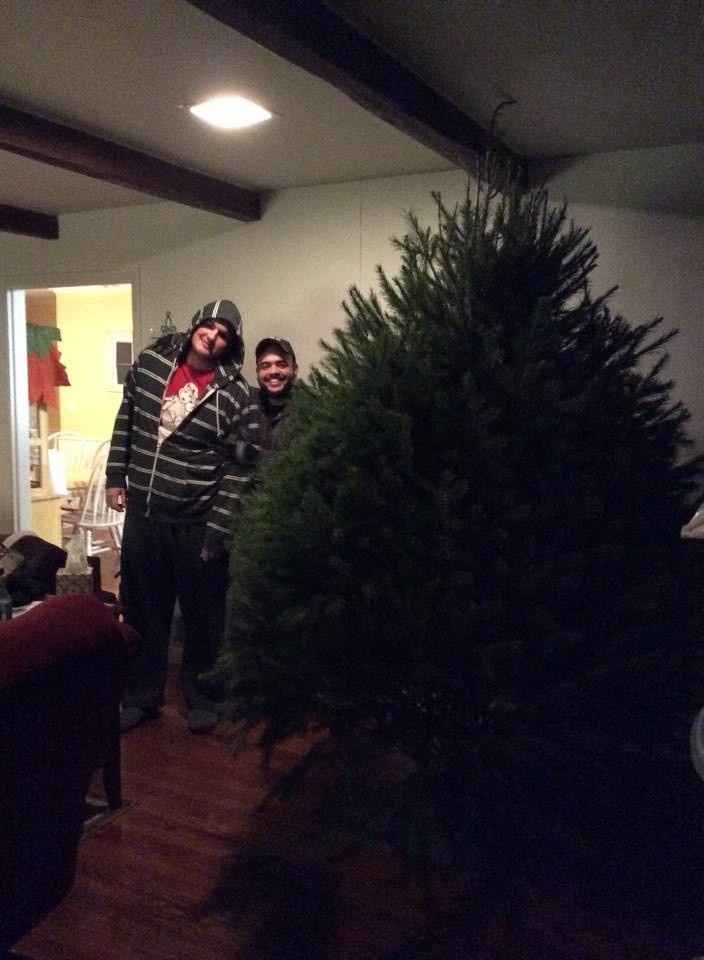 NWR Show me your tree!