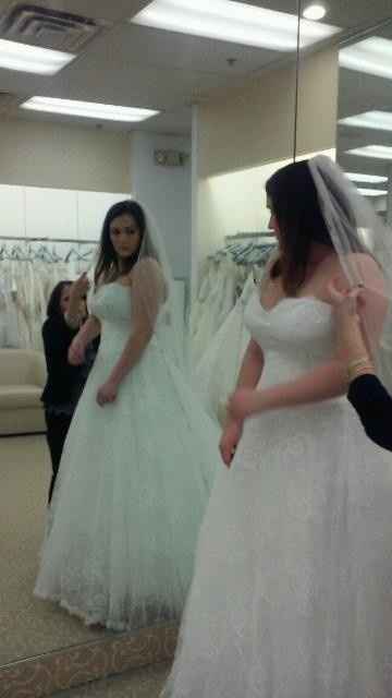 Where are my plus size brides?