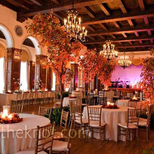 Decor help, where to find fake fall trees?