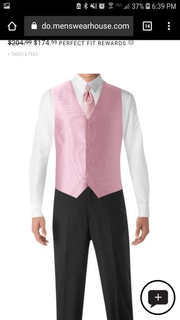 Help! What color vest/tie do i have the groom wear? 2