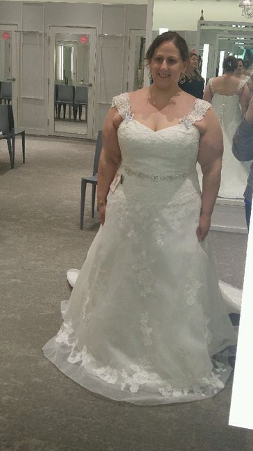 Details, Sashes and Belts, oh My! - 1