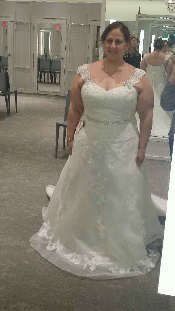 Details, Sashes and Belts, oh My! - 1