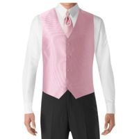Help! What color vest/tie do i have the groom wear? - 2