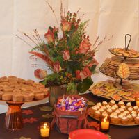 BAM and Advice and many pictures! and link to video I forgot to add :)