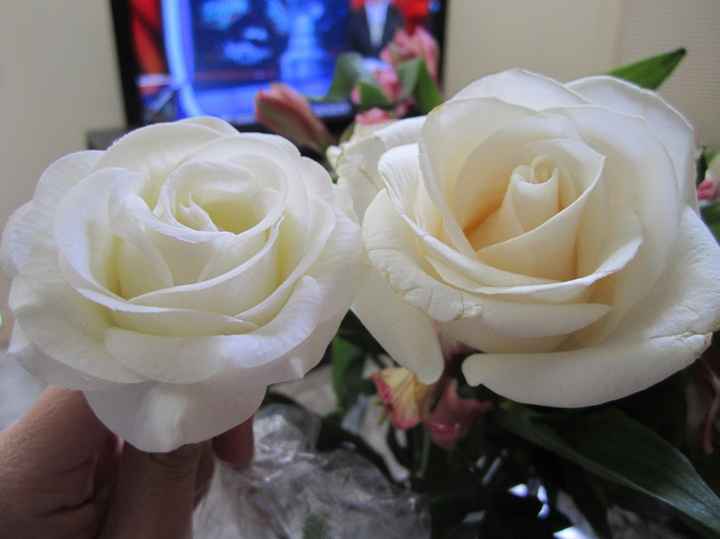 FYI: A real touch rose vs a real rose (PIC COMPARISON)