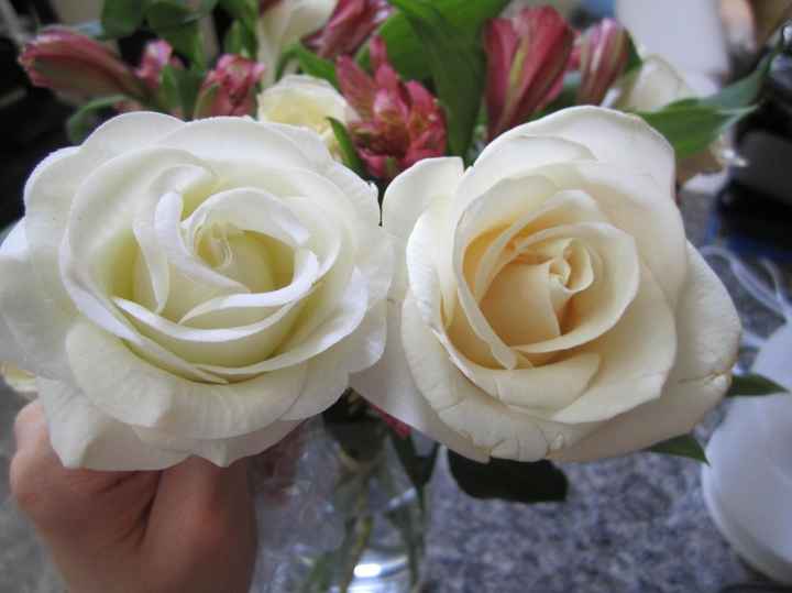 FYI: A real touch rose vs a real rose (PIC COMPARISON)