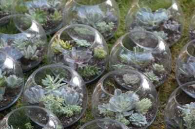 Terrarium as centerpieces
