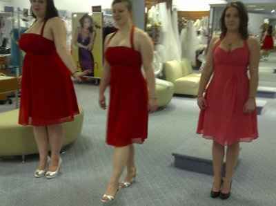 Bridesmaid dress help *pics*