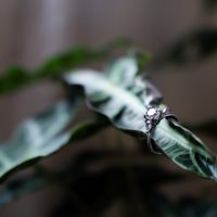 Brides of 2022! Show us your ring! - 1