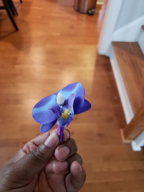 Flowers came in - 4