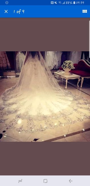 Show me your “budget” veils! - 1