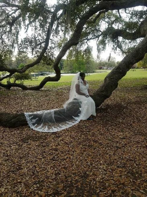 Veils are too expensive 1