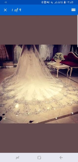 Veils are too expensive 2