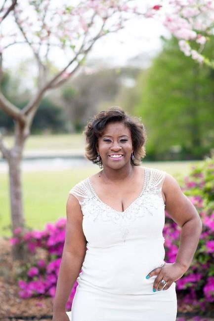 Wedding Dress Budget - 2