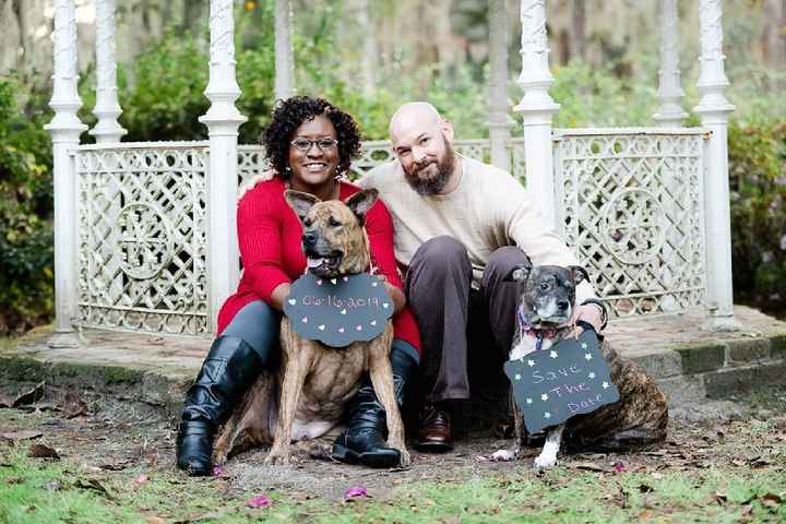 How to include my dogs without them being in my wedding - 1