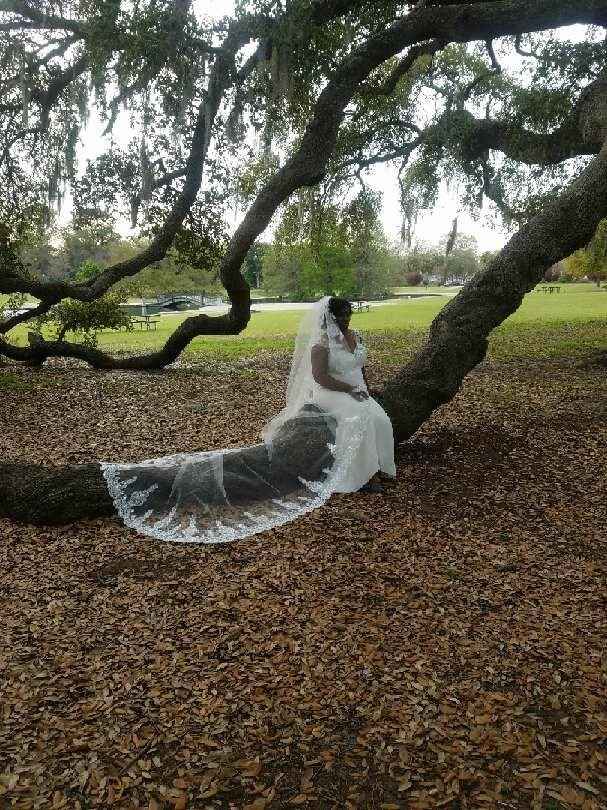 Veils are too expensive - 1