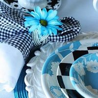 Help with decor and theme?