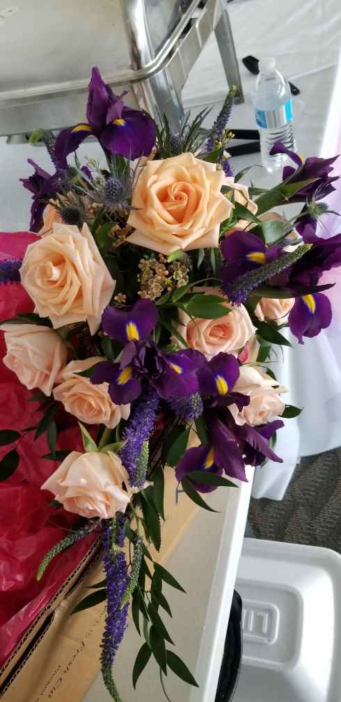 Non pro bam with pics - 5